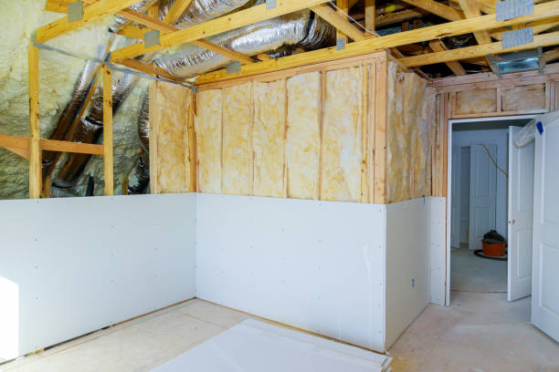 Best Geographic-Specific Insulation Services in Del Mar, CA