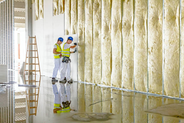 Types of Insulation We Offer in Del Mar, CA